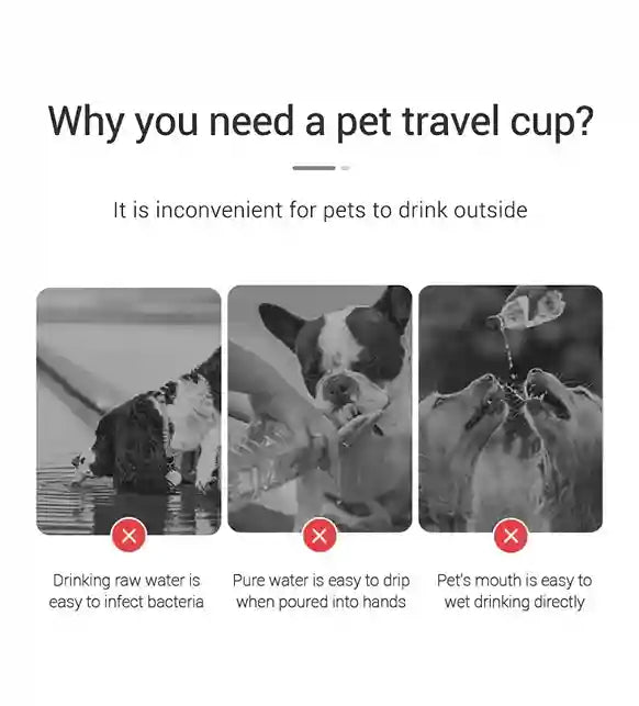 Advertisement for a pet travel cup explaining its benefits with images of a dog and a person.