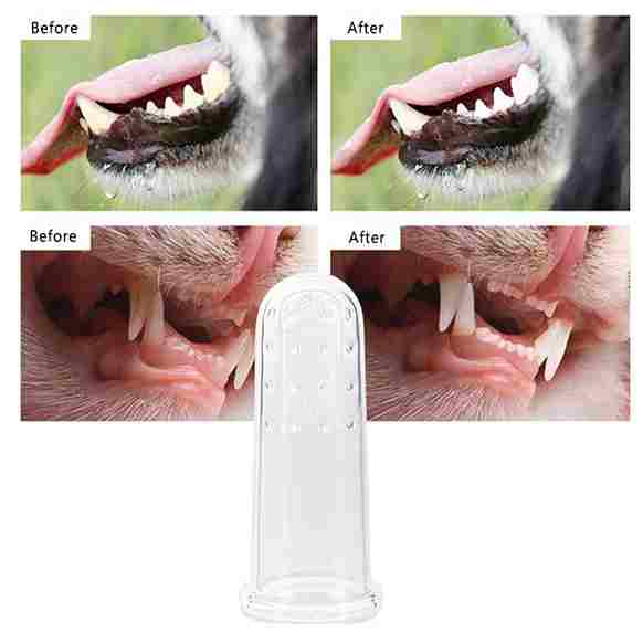 Before and after comparison of a dog's teeth with a dental cleaning product.