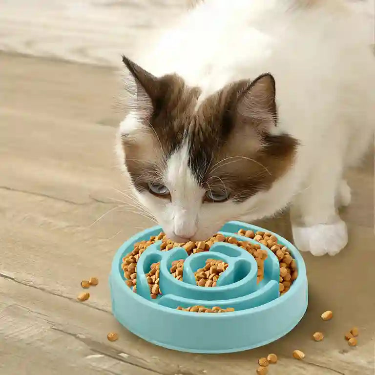 Cat eating from a blue slow feeder bowl on a wooden floor.