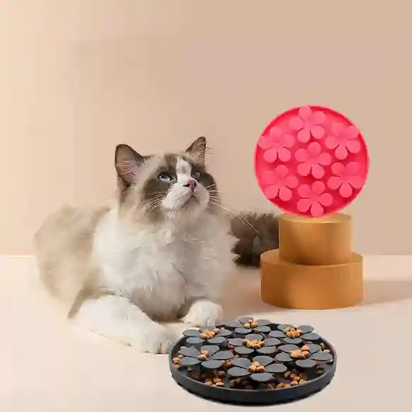 Cat interacting with a pet toy and food dish on a beige surface