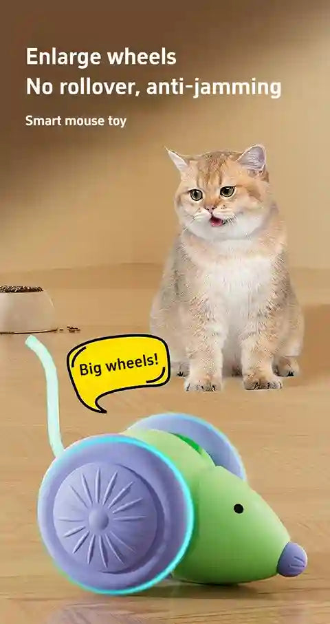 Cat next to a green mouse-shaped toy with large wheels on a wooden floor.