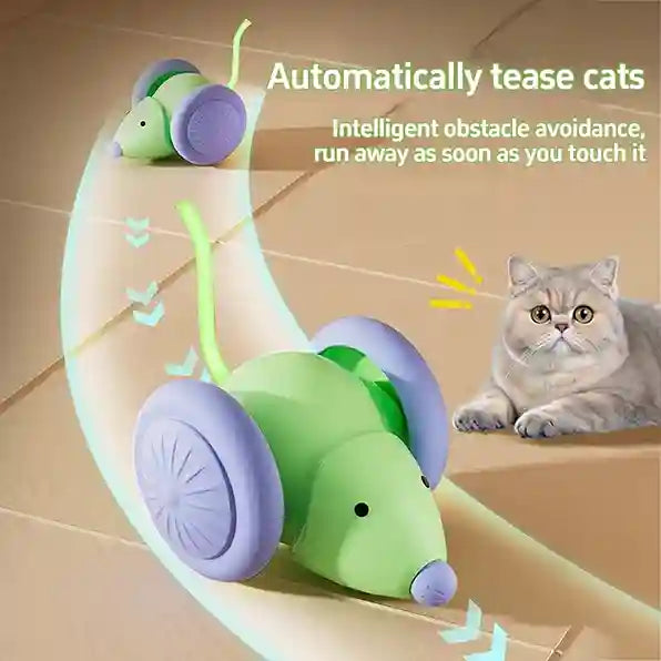 Cat toy resembling a green and purple mouse with text on a beige background