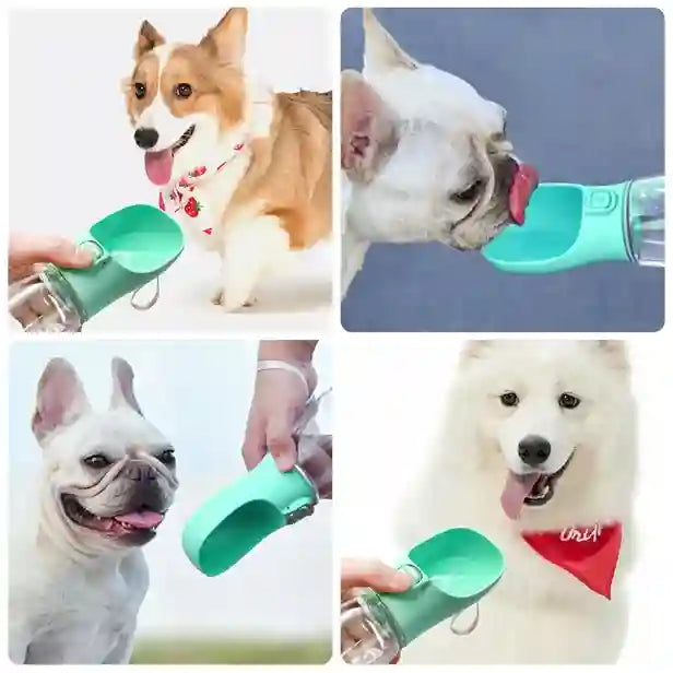 Collage of dogs using a green pet water bottle with different breeds and backgrounds.