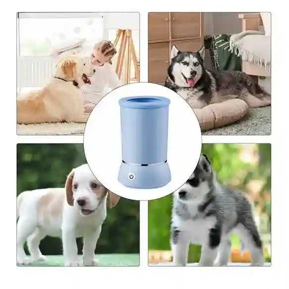 Collage of dogs with a blue cylindrical object in the center
