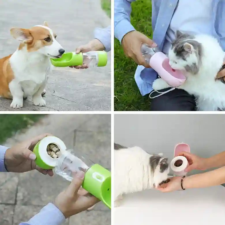 Collage of pets using a pet water bottle with different designs.