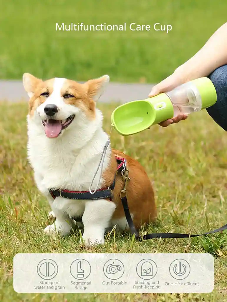 Corgi dog being fed from a green multifunctional care cup in a grassy area.