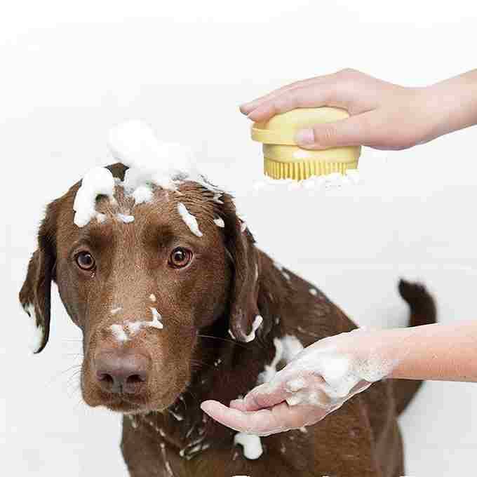 Dog being bathed with a person using a yellow brush and applying soap.