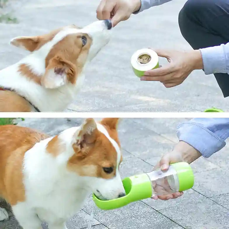 Dog drinking from a green pet water bottle held by a person outdoors.
