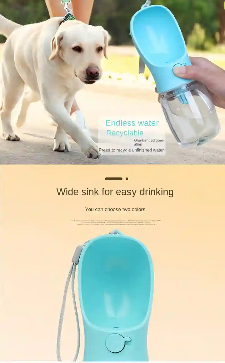 Dog drinking from a portable water bottle with a yellow background