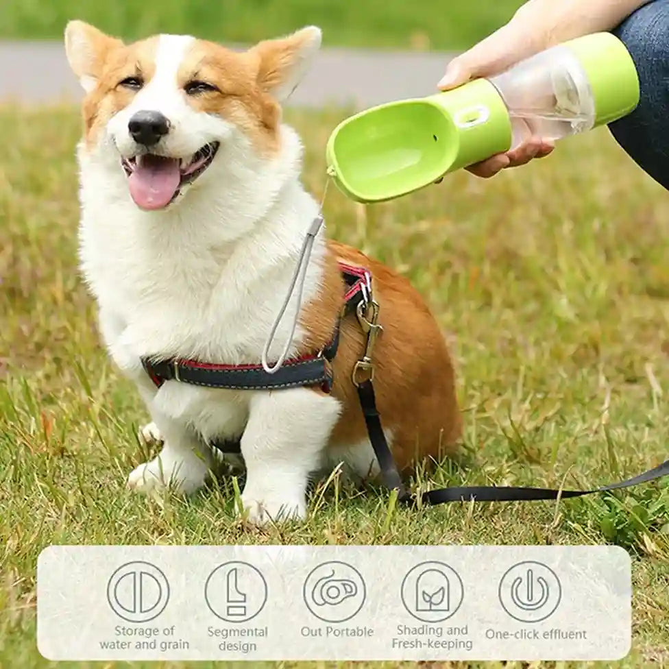 Dog on a leash being given water from a green portable dog water bottle in a grassy area.