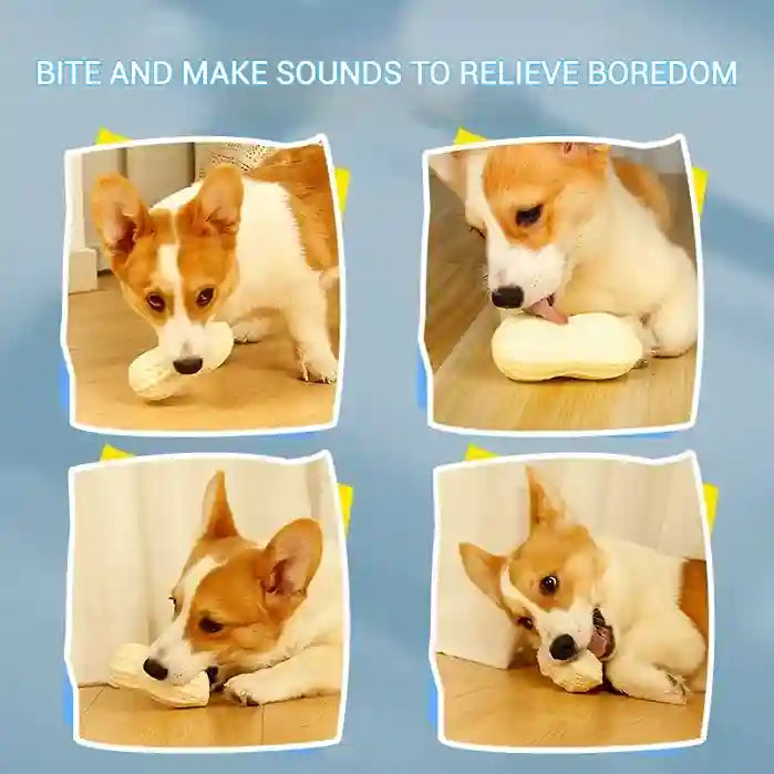Dog playing with a chew toy Aon a wooden floor with text above.