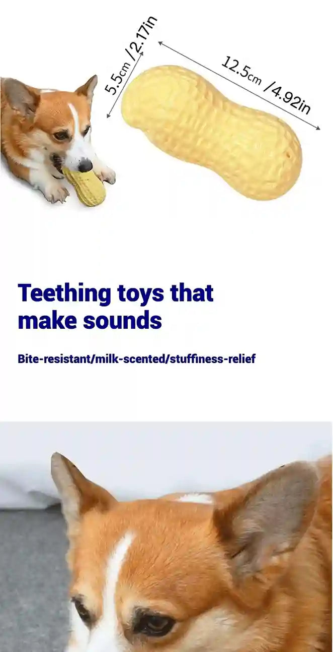 Dog playing with a teething toy shaped like a peanut, with measurements and text about the product.
