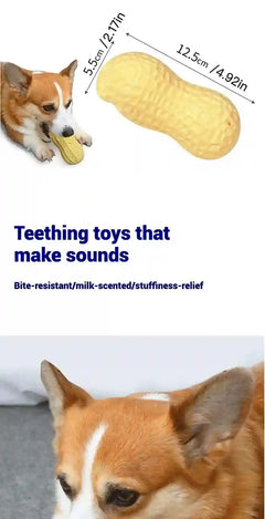 Dog playing with a teething toy shaped like a peanut, with measurements and text about the product.