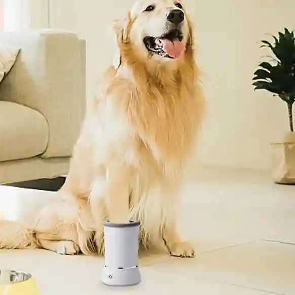 Dog sitting next to a white cylindrical device on a light-colored floor.