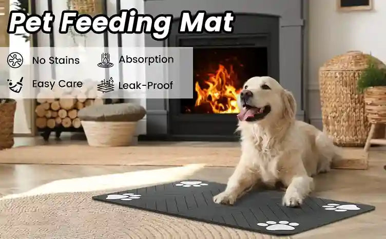 Dog sitting on a pet feeding mat in a home setting with fireplace.