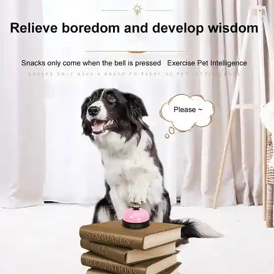 Dog sitting on books with a bell, text about relieving boredom and developing wisdom.