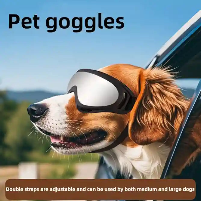Dog wearing pet goggles with text about adjustable straps for medium and large dogs.