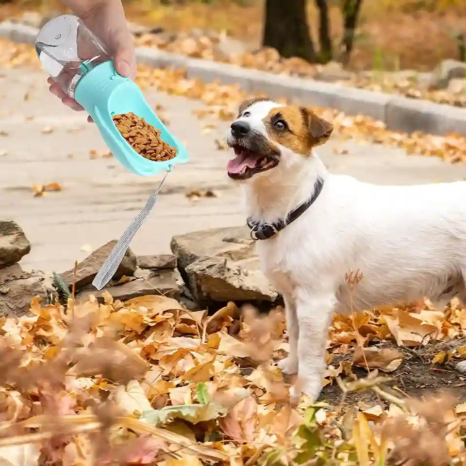 Dog with a blue pet feeder filled with kibble, standing on a leaf-covered ground.
