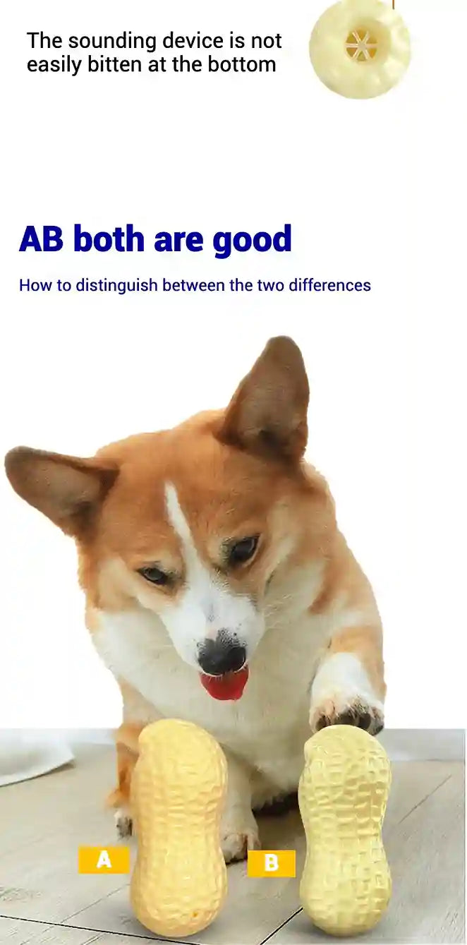 Dog with two yellow dog toys labeled A and B, with text about distinguishing between them.