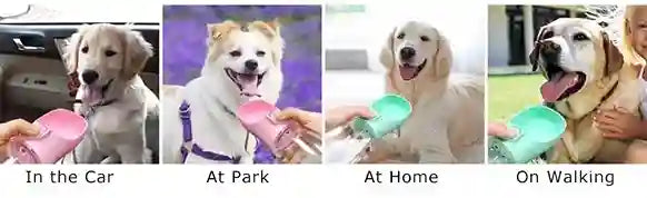 Four different scenes with a dog holding a pink bowl, labeled 'In the Car', 'At Park', 'At Home', and 'On Walking'.