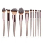 Makeup Brushes Set 10 Piece Professional Collection BABBAK'S LTD