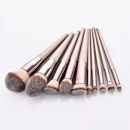 Makeup Brushes Set 10 Piece Professional Collection BABBAK'S LTD