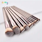 Makeup Brushes Set 10 Piece Professional Collection BABBAK'S LTD