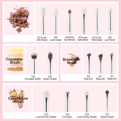 Professional Makeup Brush Set