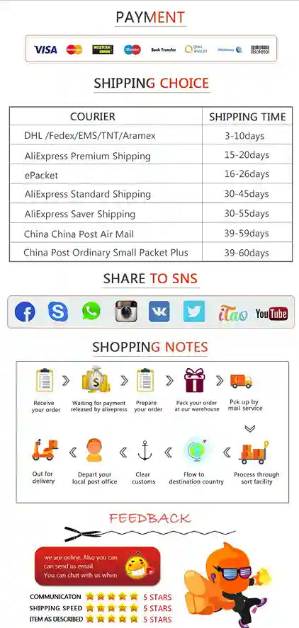 Payment and shipping information page with various couriers and their respective shipping times.