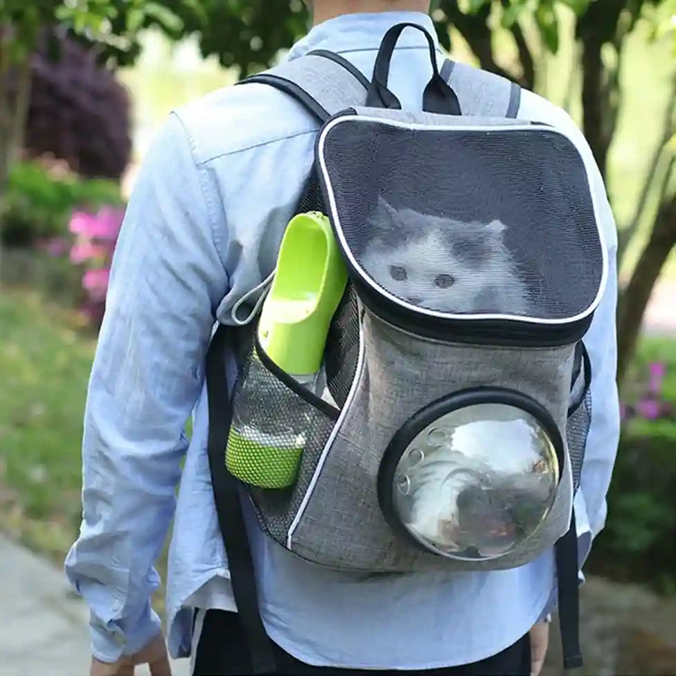 Person carrying a pet backpack with a cat inside, outdoors.