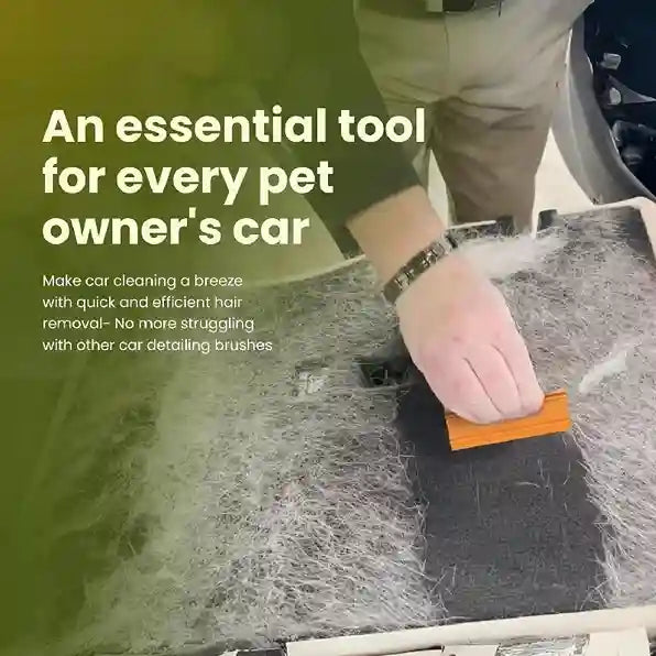 Person cleaning a car with a brush, text about essential tool for pet owners' cars.