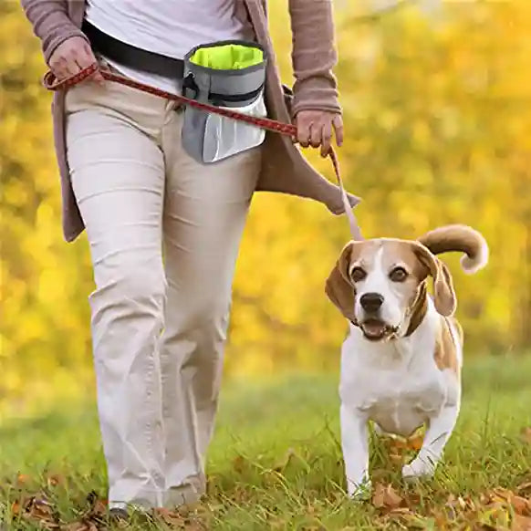 Person walking a dog with a waist bag in a park