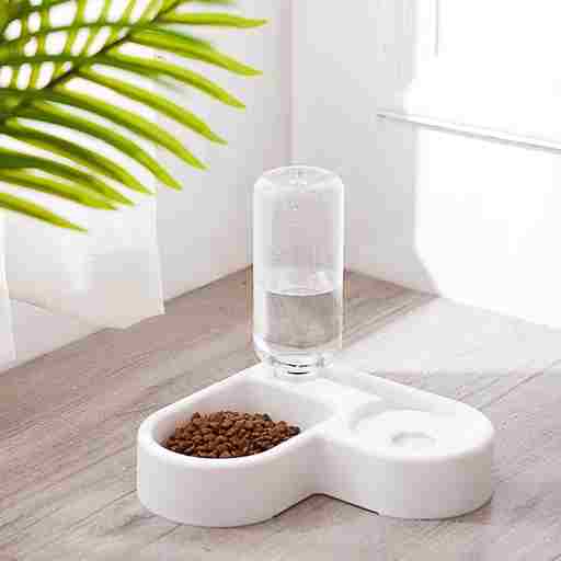 Pet feeder with water bottle on a wooden floor with a plant in the background