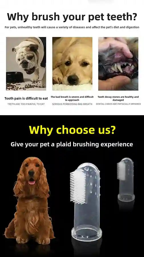 Pet toothbrushing product with images of dogs and text explaining the importance of pet dental care.