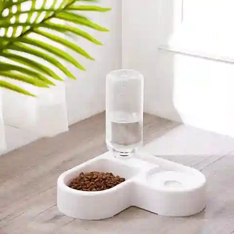 Pet water bottle and food dish on a light wooden floor with a plant in the background