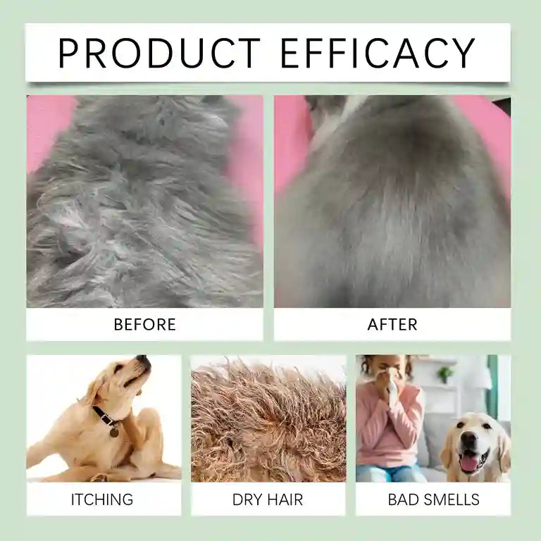 Product efficacy comparison before and after using a pet care product on fur and a dog.