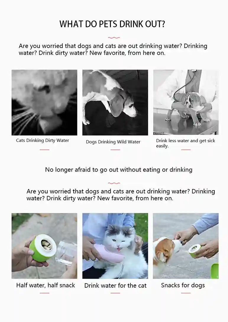 Promotional graphic about pet drinking habits and products.