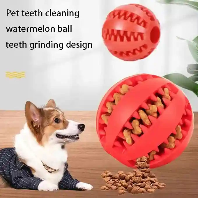 Red pet toy ball with teeth grinding design next to a dog on a wooden surface.