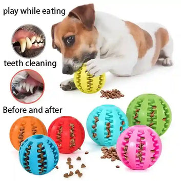 BABBAK'S LTD Durable Rubber Dog Toy Ball – Chew & Play Fetch Ball for Dogs