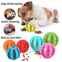 BABBAK'S LTD Durable Rubber Dog Toy Ball – Chew & Play Fetch Ball for Dogs