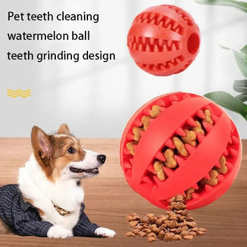 BABBAK'S LTD Durable Rubber Dog Toy Ball – Chew & Play Fetch Ball for Dogs