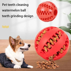 BABBAK'S LTD Durable Rubber Dog Toy Ball – Chew & Play Fetch Ball for Dogs