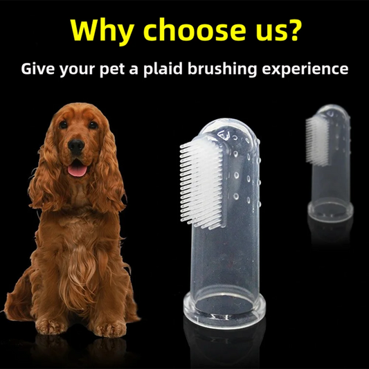 BABBAK'S LTD Pet Finger Toothbrush – Soft Silicone Dental Cleaning Tool for Dogs & Cats