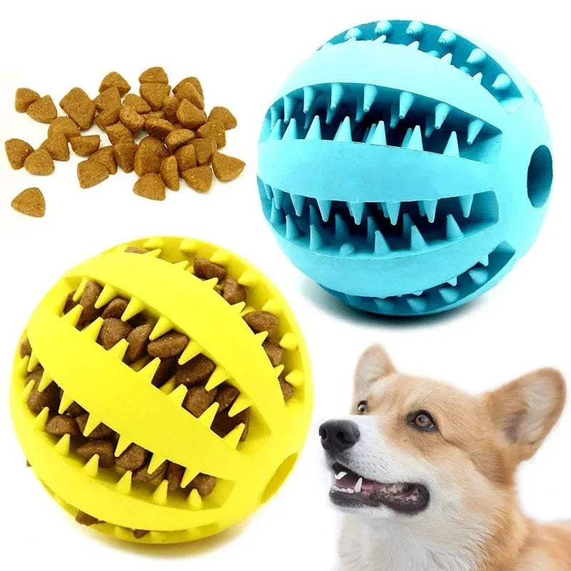 BABBAK'S LTD Durable Rubber Dog Toy Ball – Chew & Play Fetch Ball for Dogs