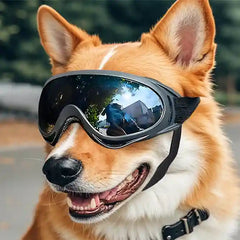 BABBAK'S LTD Pet Dog Sunglasses – UV Protection Eye Wear for Dogs & Puppies