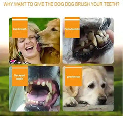 BABBAK'S LTD Silicone Pet Finger Toothbrush – Dog & Cat Teeth Cleaning Tool for Small Pets