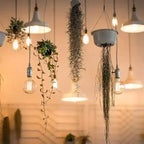 BABBAK'S LTD Vintage Edison Spiral LED Bulb – Retro E27 Warm Light Home Decor