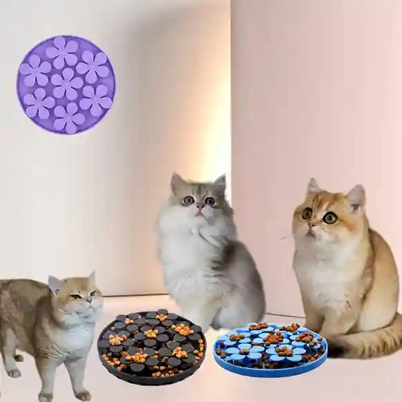 Three cats with two different cat food bowls, one purple and one blue, on a light background.