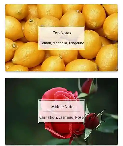 Top notes of lemon, magnolia, tangerine with a close-up of lemons; middle notes of carnation, jasmine, rose with a close-up of roses.