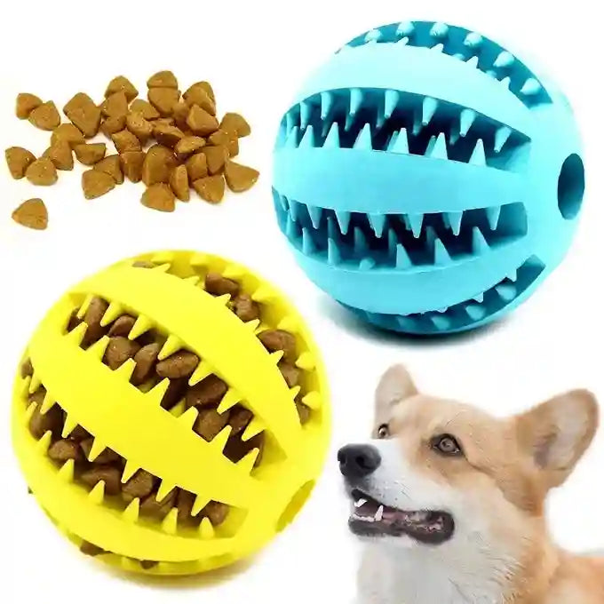 Two dog toys, one yellow and one blue, with a dog and treats on a white background.